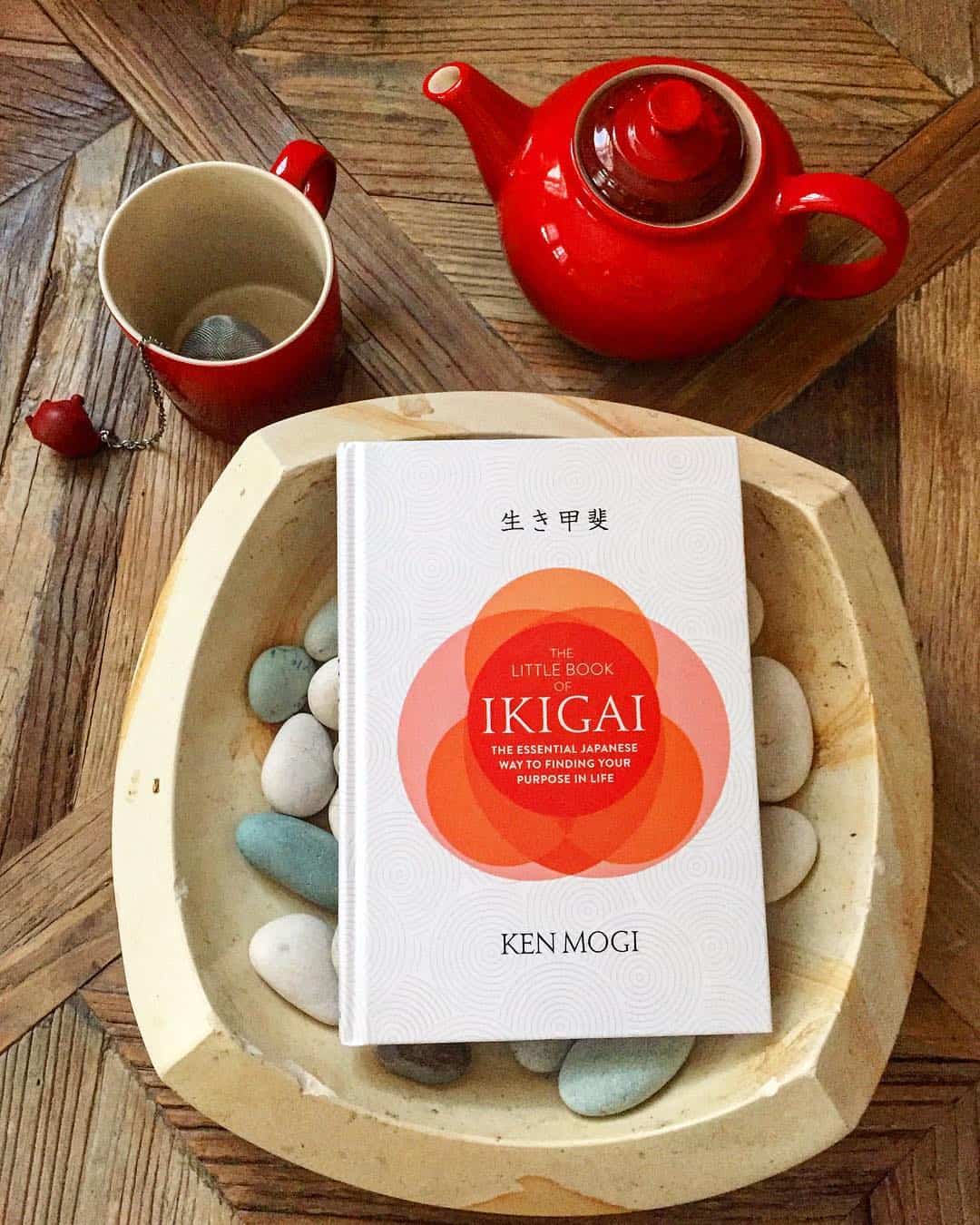 ikigai libro significato traduzione italiano HD